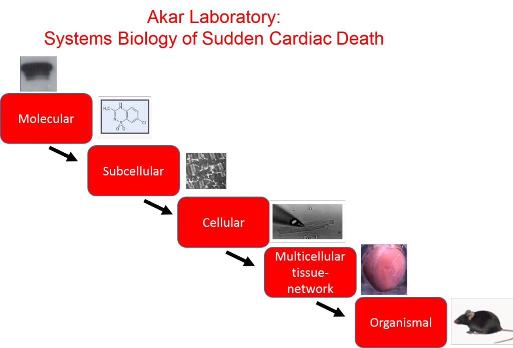 research-akar-laboratory