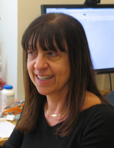 Emanuela Taioli, MD, PhD