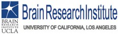UCLA's BRI logo
