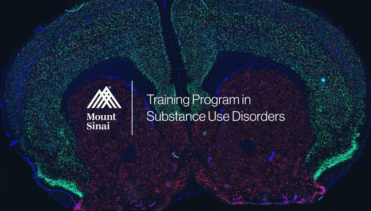 Training Program in Substance Use Disorders - FBI Neuro T32
