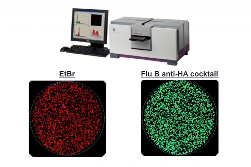 Laser scanning cytometry used to accurately measure influenza infection of a proprietary cell line for novel vaccine production.