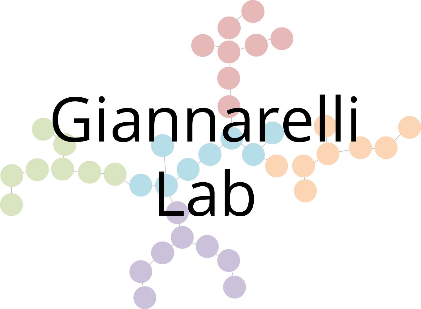 Giannarelli Laboratory
