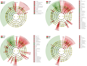 Taxonomic representation of statistically and biologically consistent differences between each environmental chemical treatment and controls at postnatal day 62 rats. Cladogram plots present the Lefse results on gut microbiome of environmental chemical treated rats and controls at postnatal day 62. Differences are represented in the color for the most abundant class (red indicating increase, green indicating reduction). Each circle’s diameter is proportional to the taxon’s relative abundance. 