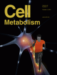 Cell Metabolism Oct 2015