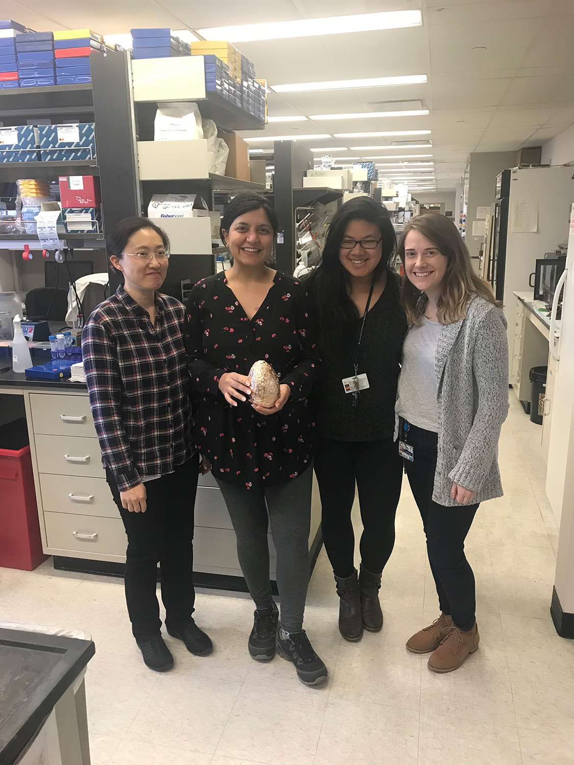 The chick lab with an egg