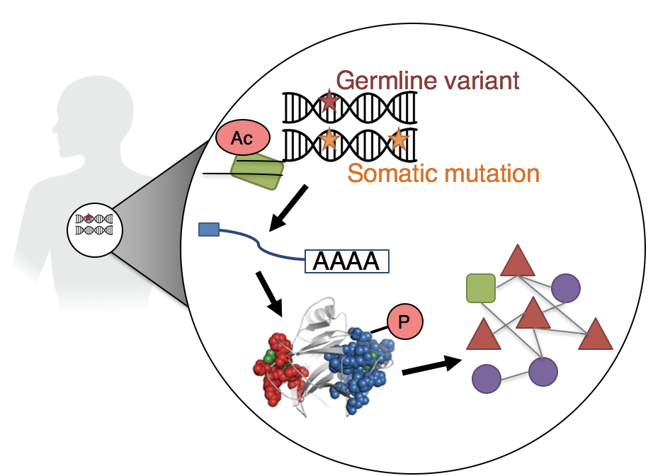 Science | HUANG LAB | COMPUTATIONAL OMICS