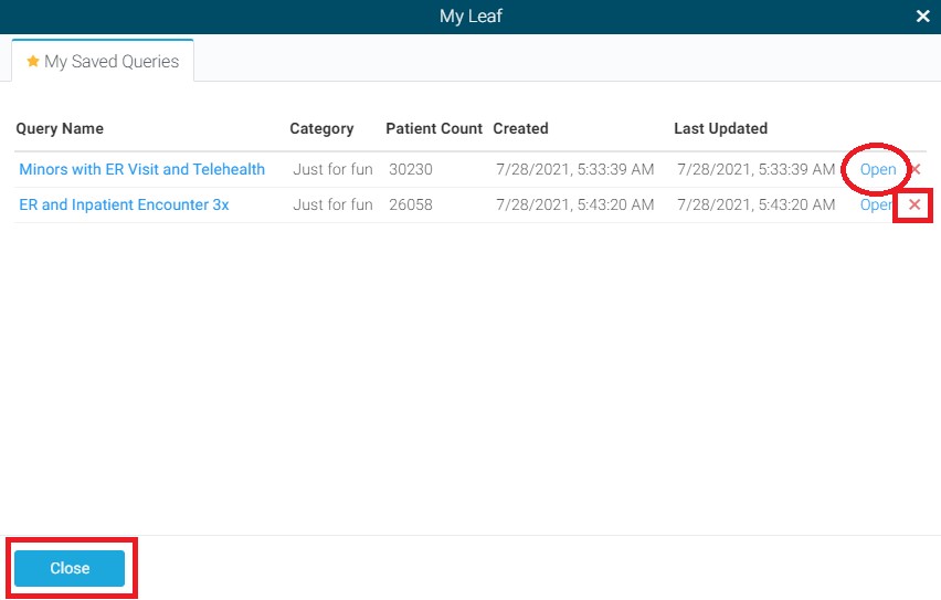 Figure 16: Saved Queries, Open and Delete