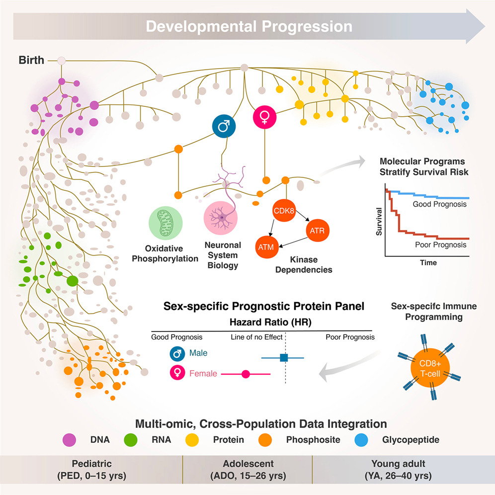 Proteogenomic analysis