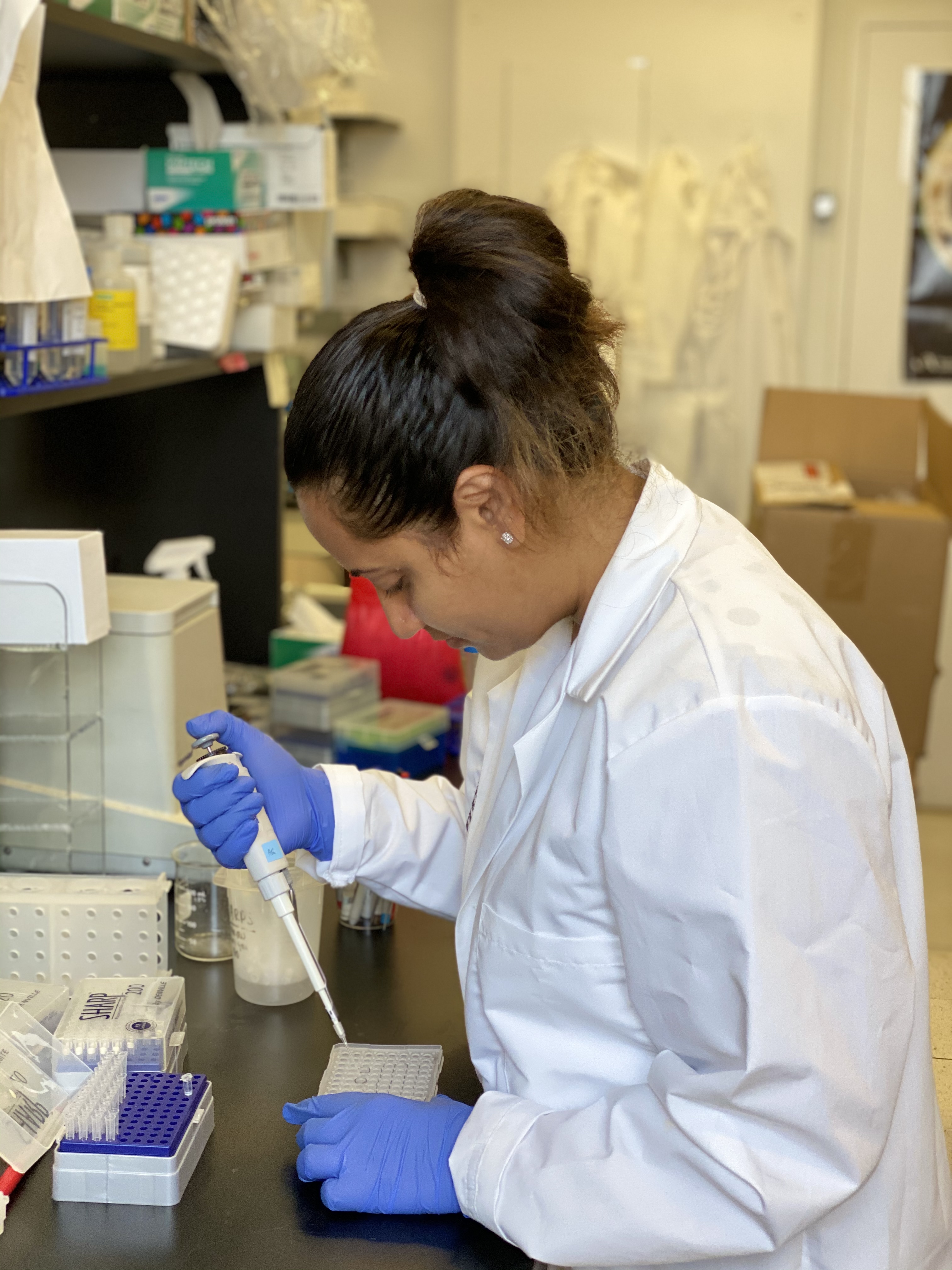 Research | Charles Powell Laboratory