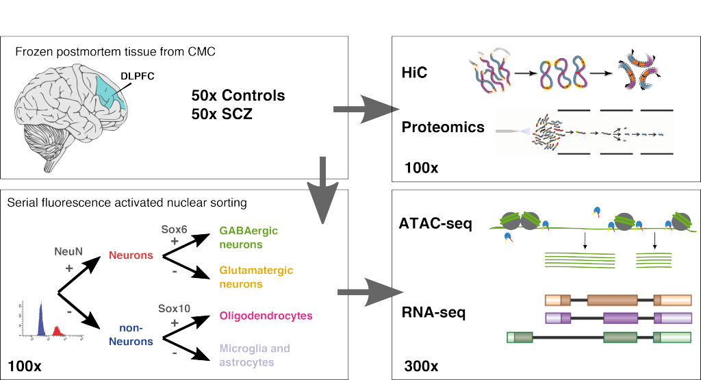 The Roussos Lab