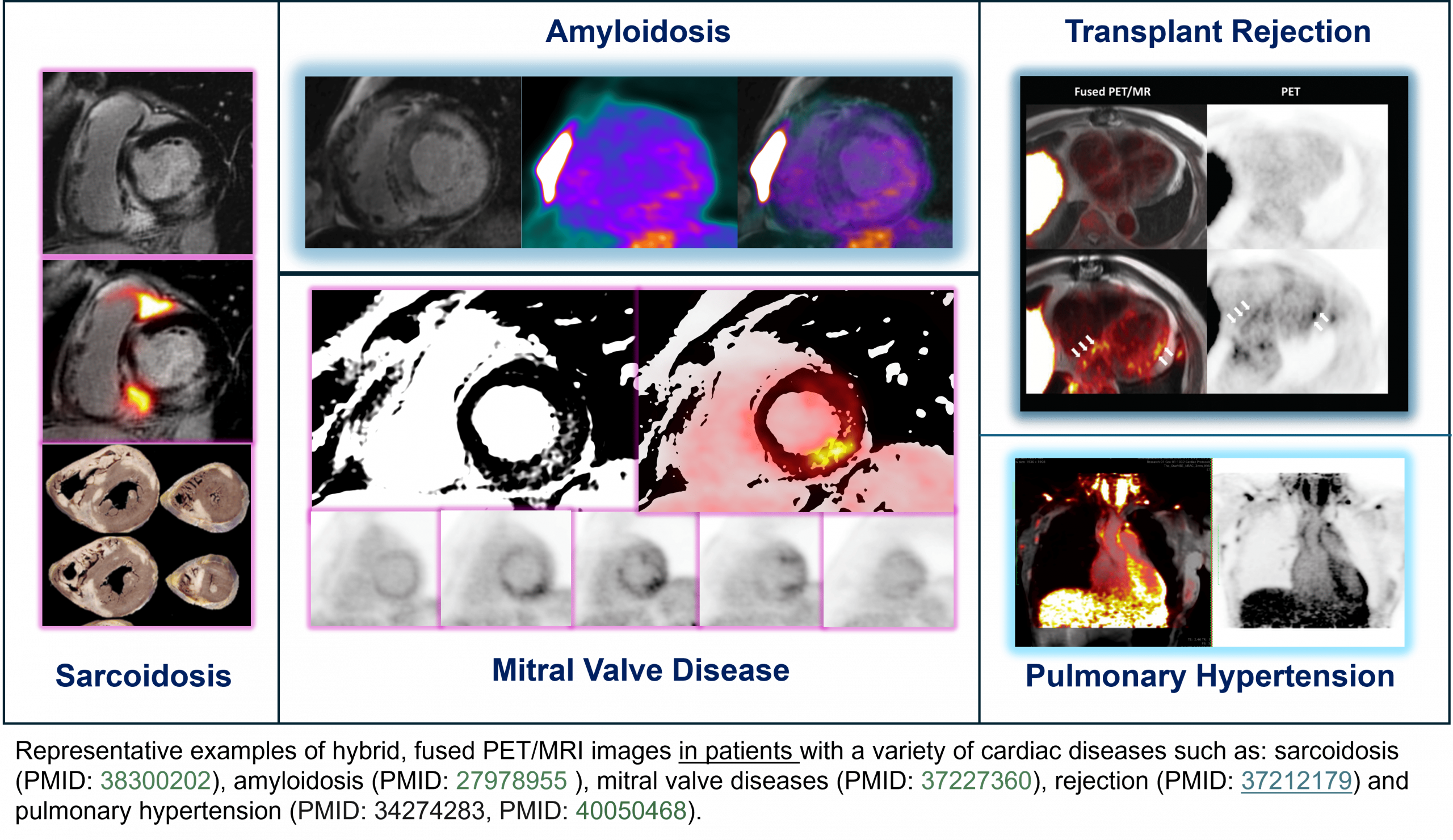 Clinical imaging research - Trivieri lab