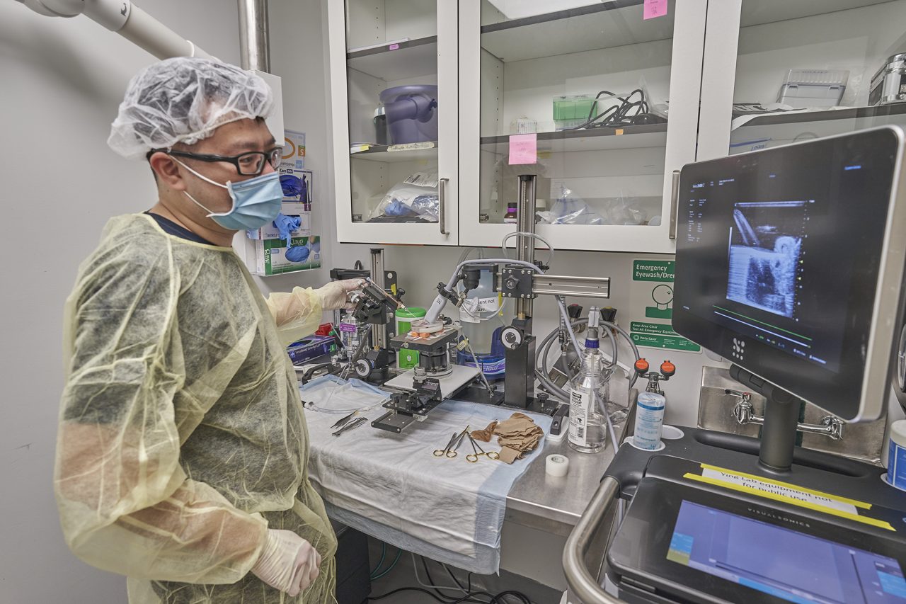 Lab Photos - Ying Laboratory